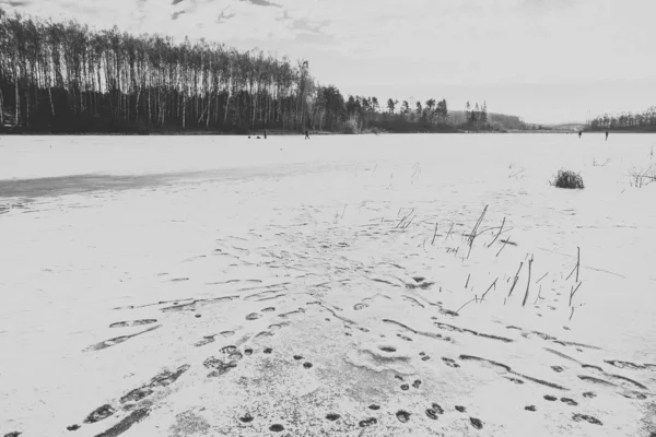 Eisangeln auf dem See — Stockfoto