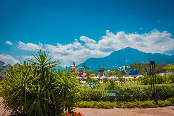 Beautiful seaside resort. Green and flowers — Stock Photo, Image