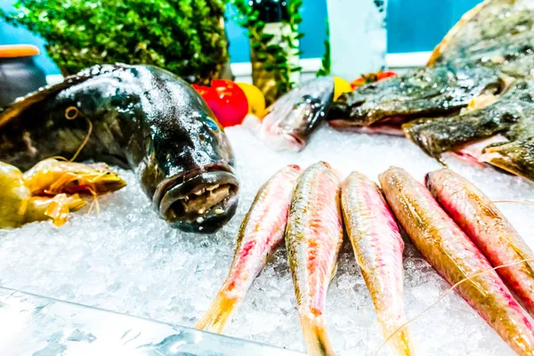 Pescado sobre hielo en un restaurante de pescado —  Fotos de Stock