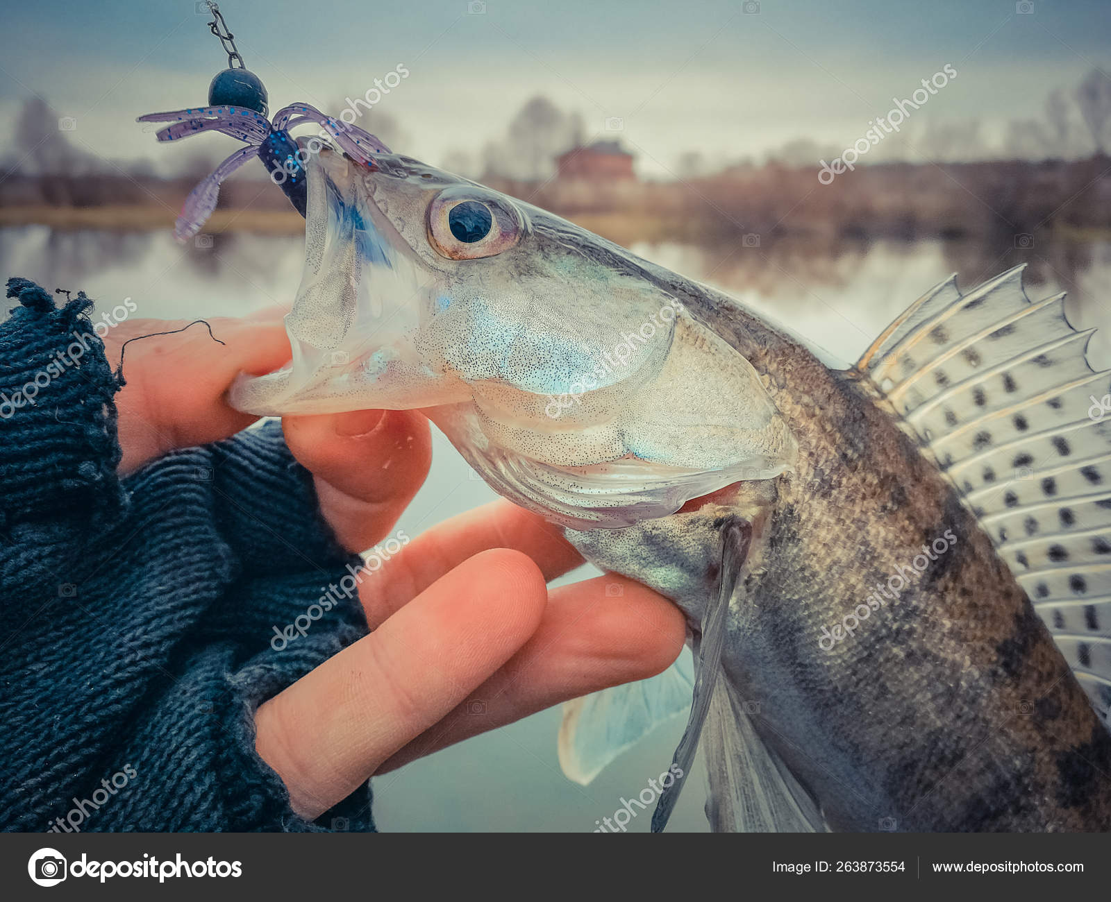 Background on a fishing theme — Stock Photo © aallm #263873554