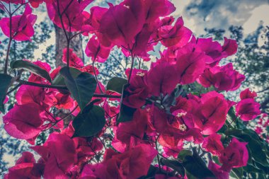 Muhteşem sahil resort manzaralar