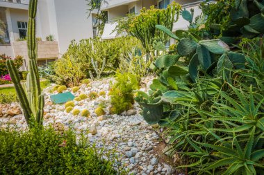 Güzel tatil beldesi. Yeşil ve çiçekler