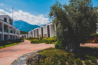 Güzel tatil beldesi. Yeşil ve çiçekler