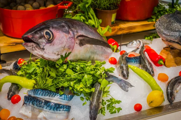 Exibição Peixe Restaurante — Fotografia de Stock