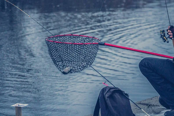 Pesca de truchas en el lago. Recreo de pesca — Foto de Stock