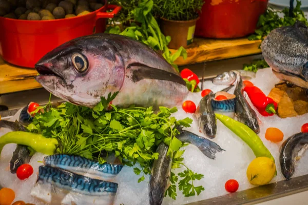 Exibição Peixe Restaurante — Fotografia de Stock