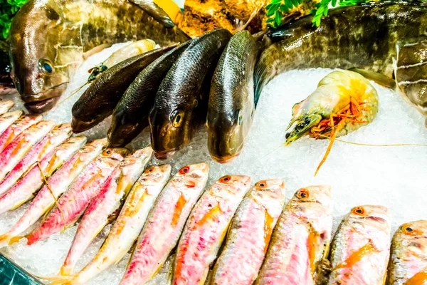 물고기 식당에서 얼음 물고기 — 스톡 사진