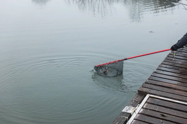 Pesca Lúcio Lago — Fotografia de Stock