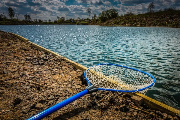 Рыбалка на озере — стоковое фото