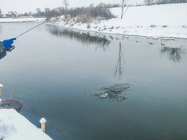 湖でのマス釣り — ストック写真