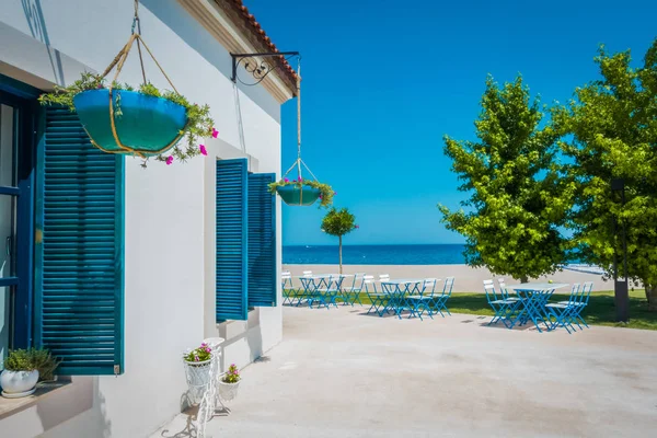 Beautiful seaside resort. Green and flowers — Stock Photo, Image