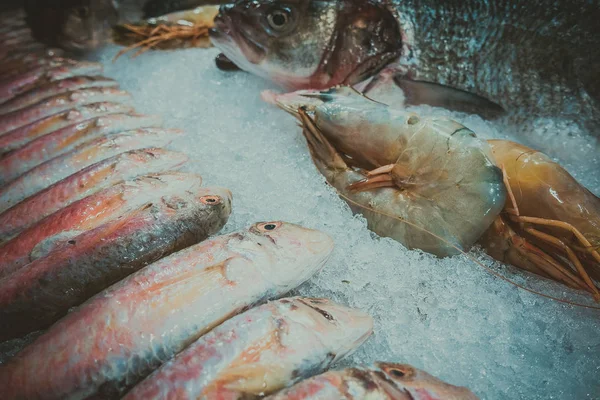 Ryby Mořské Plody Ledě — Stock fotografie