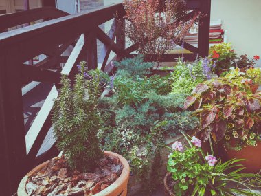 Yaz verandada vazolar