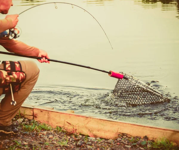 hobby- trout fishing background