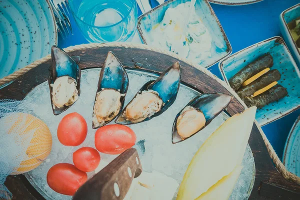 Διάφορα Ορεκτικά Σνακ Ένα Εστιατόριο Ψαριών — Φωτογραφία Αρχείου
