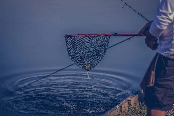 Hobby Pesca Alla Trota Sfondo — Foto Stock