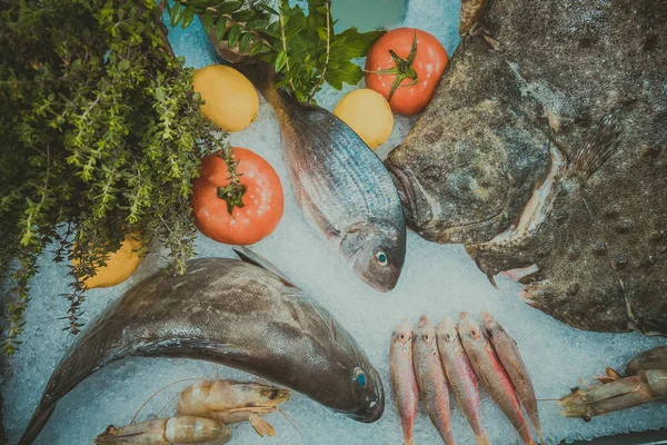 Pescado sobre hielo en un restaurante de pescado —  Fotos de Stock