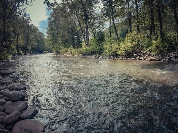 Schöner Schneller Fluss Wald — Stockfoto