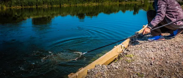 Pêcheur capture truite arc-en-ciel du lac — Photo