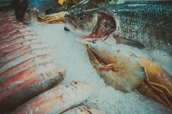 Ryby Mořské Plody Ledě — Stock fotografie