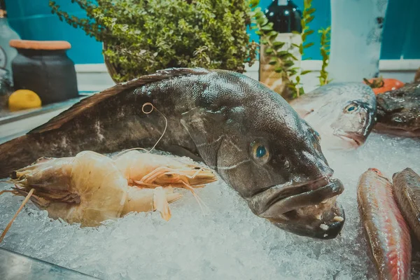 Pescado sobre hielo en un restaurante de pescado —  Fotos de Stock