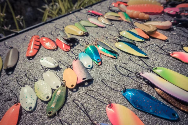 Pescador captura trucha arco iris del lago — Foto de Stock