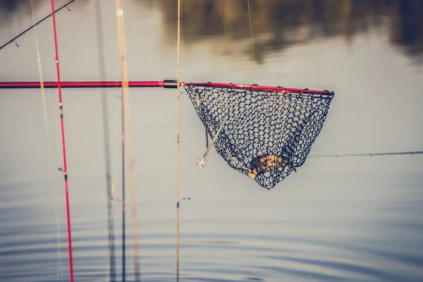 マス釣りの背景 — ストック写真