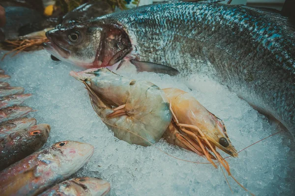 Fish Seafood Ice — Stock Photo, Image