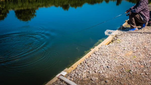 Pescador pegar truta arco-íris do lago — Fotografia de Stock