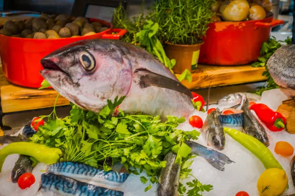 Exhibición Pescado Restaurante —  Fotos de Stock