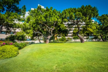 Güzel tatil beldesi. Yeşil ve çiçekler