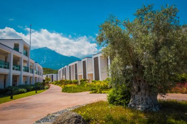 Güzel tatil beldesi. Yeşil ve çiçekler
