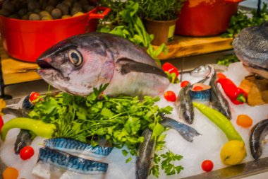 Balık Restoran görüntülemek