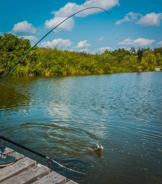 alabalıkla balıkçılık arka plan