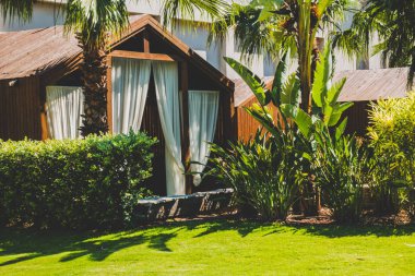 Güzel tatil beldesi. Yeşil ve çiçekler