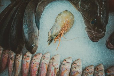 Balık ve deniz ürünleri buz üstünde