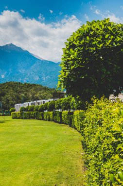 Güzel tatil beldesi. Yeşil ve çiçekler