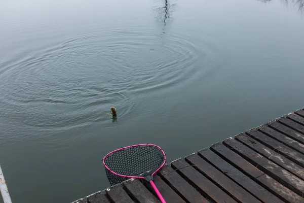Pike Fishing Lake — Stock Photo, Image