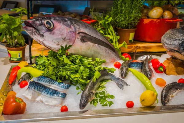 Exhibición Pescado Restaurante —  Fotos de Stock