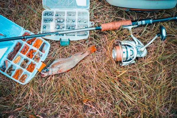 Conceito Pesca Atacar Vara Pesca Peixe Grama — Fotografia de Stock