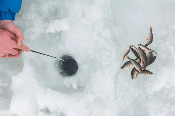 Hielo Invierno Pasatiempo Pesca — Foto de Stock