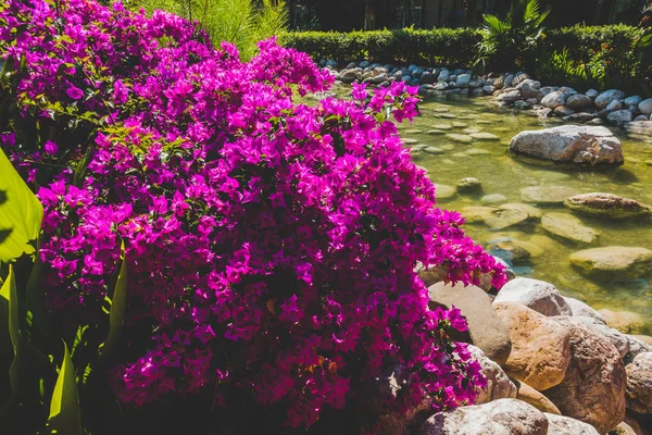 Vackra badorten. Grönt och blommor — Stockfoto