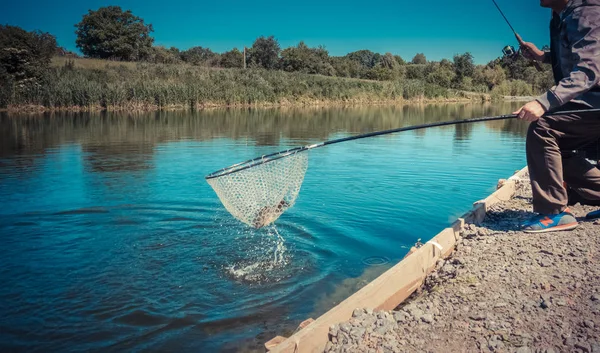 Pescatore cattura trota iridea dal lago — Foto Stock