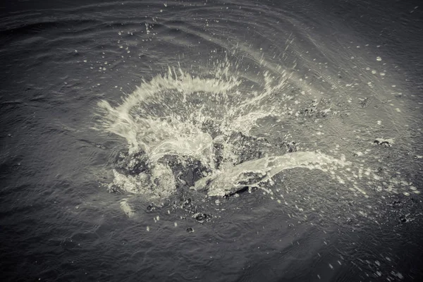 Pesca da truta no lago — Fotografia de Stock