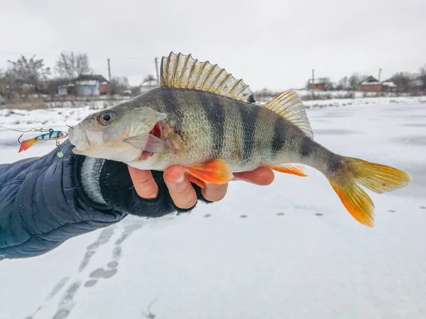 Fishing Ice Background — Stock Photo, Image