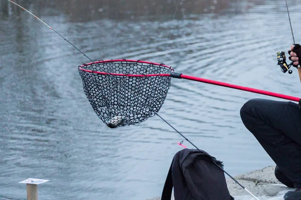 Pesca de truchas en el lago. Recreo de pesca — Foto de Stock