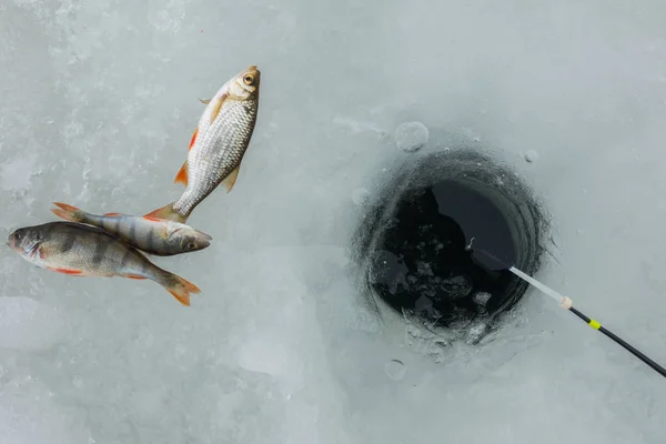 Winter Ice Fishing Hobby — 스톡 사진