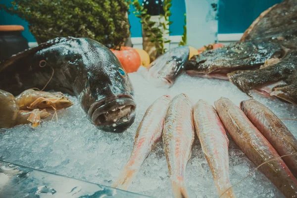 Ryby na ledě v rybí restauraci — Stock fotografie