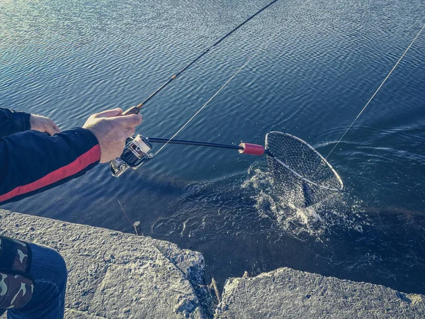 Pike fishing on the lake. Fishing recreation — Stock Photo, Image