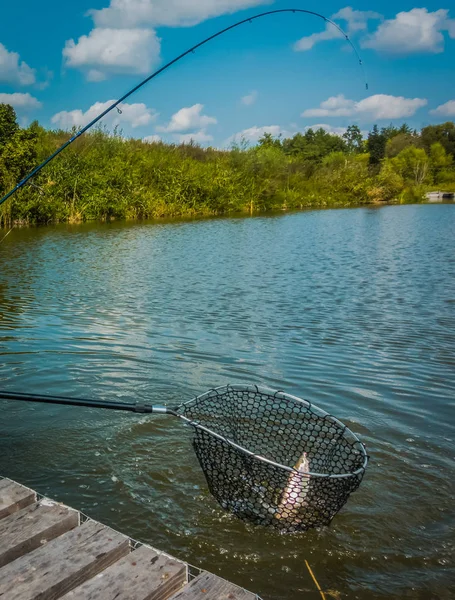 Öring fiske bakgrund — Stockfoto